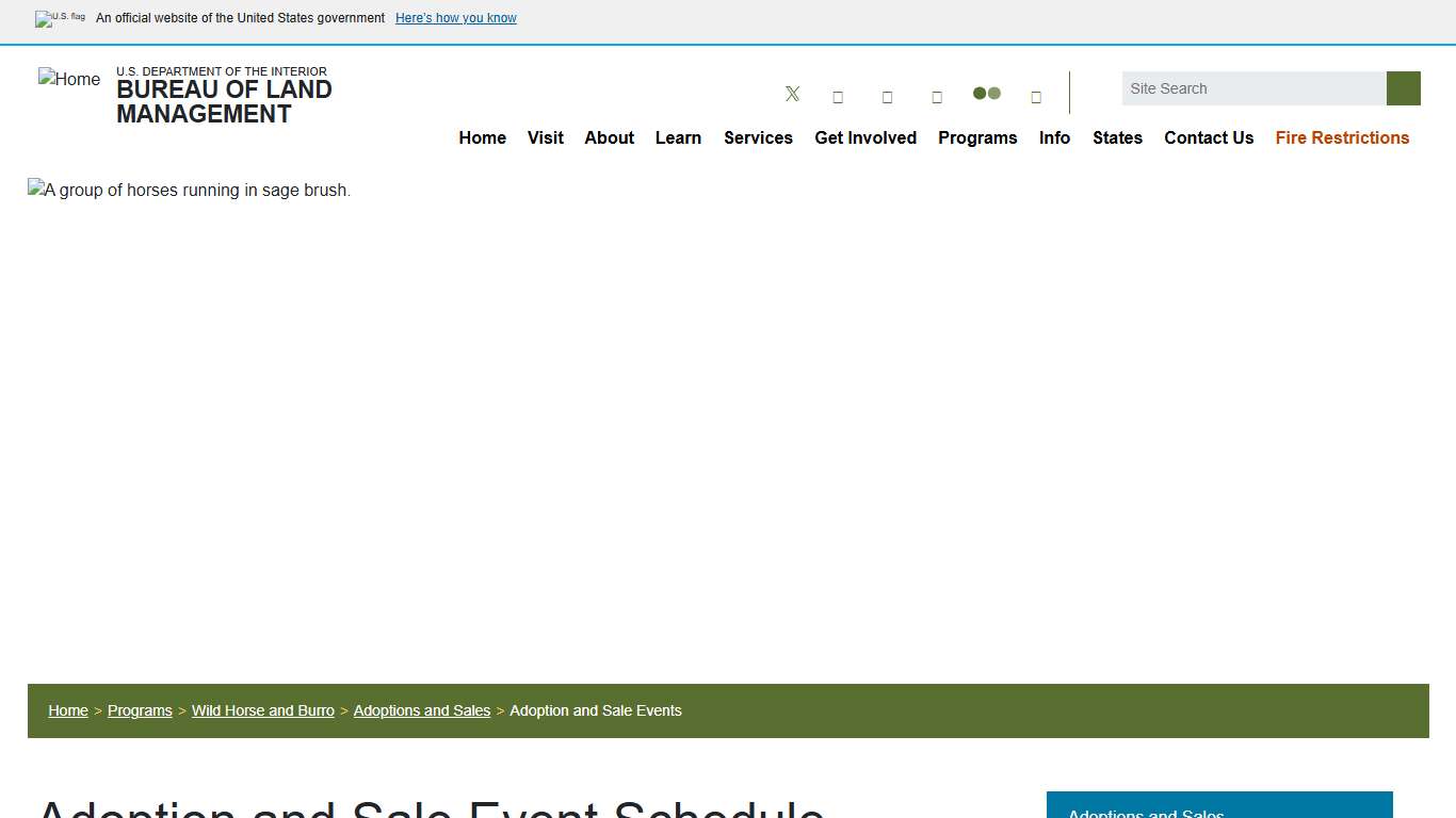 Wild Horse and Burro Adoption and Sale Events